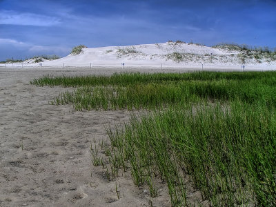 Dunes at Huguenot Memorial Park #5