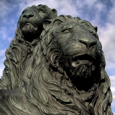 Two Lions