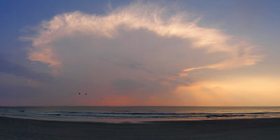 Earth, Sea, and Sky