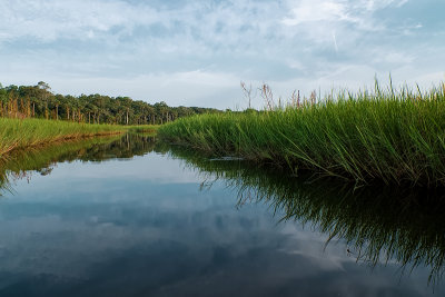Guana Lake Western Shore I