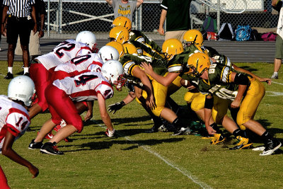 Wolfson vs Yulee #3