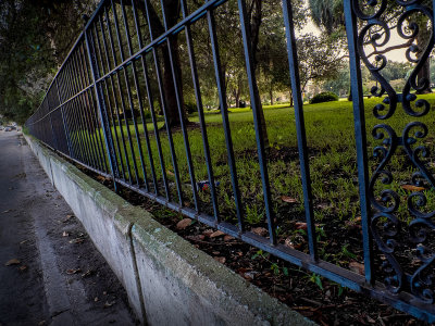 On the Edge of Memorial Park