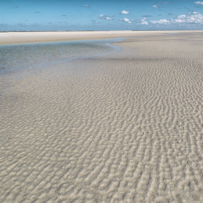 Low Tide