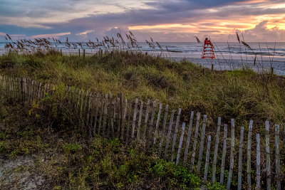 Fence and Shore