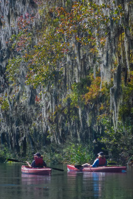 Two Kayaks and Spanish Moss