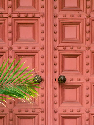Door and Palm