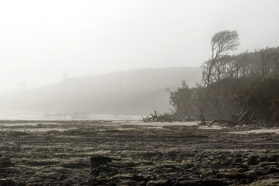 The Bone Yards in the Fog #10