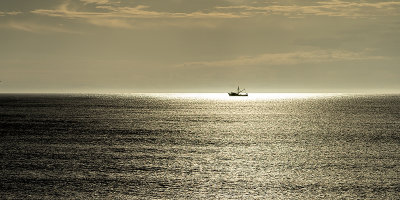 Shrimper in the Sun