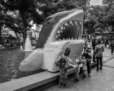 One Spark 5 #BW