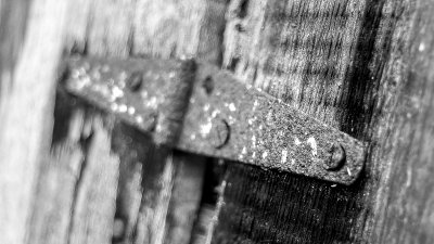 Hinge BW