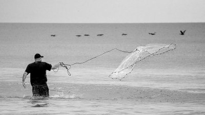 Surf Cast II BW