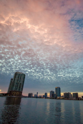 Sailor's Delight
