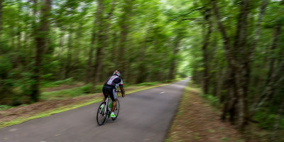 Baldwin Jacksonville Rail Trail #2