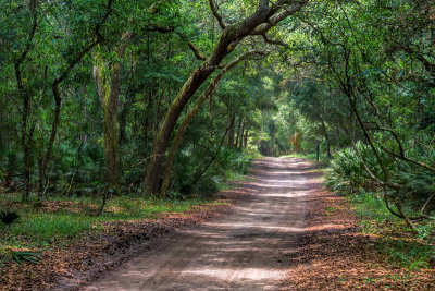 Guana River Preserve #1