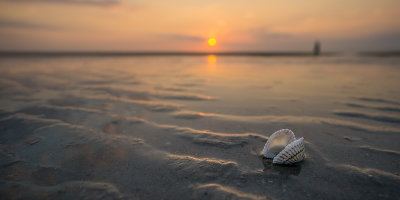 Open Shell