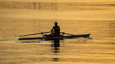 Sculling Silhouette