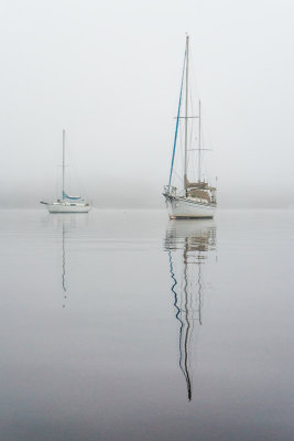 Fog on the Ortega River #7