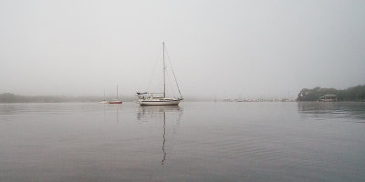 Fog on the Ortega River #12
