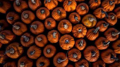 Pumpkins #3