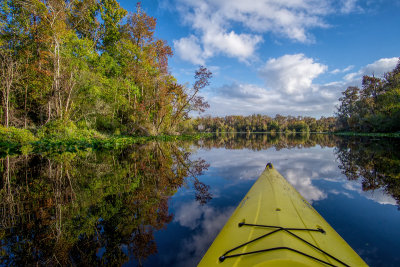 Peters Creek meets Black Creek II