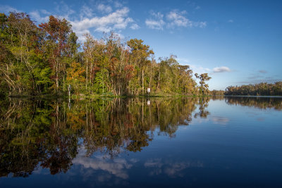 Peters Creek meets Black Creek III