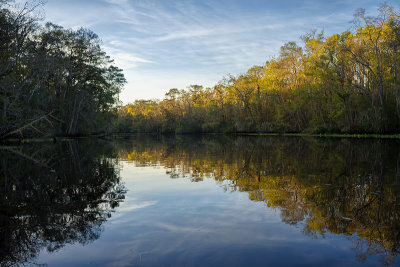 Six Mile Creek #5