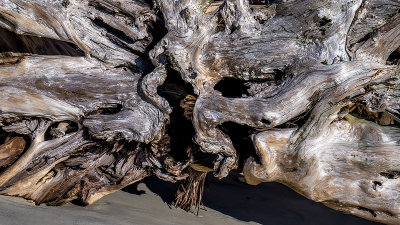 Little Talbot Island