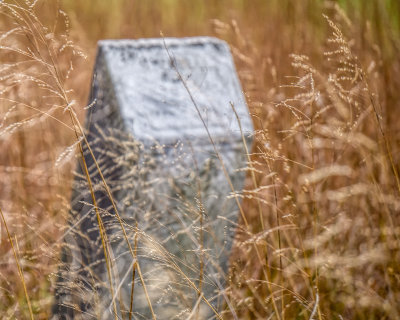 Headstone in the Grass