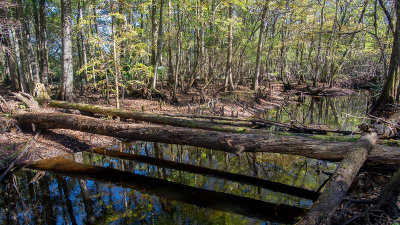 Gourd Island Preserve #2