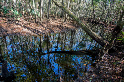 Gourd Island Preserve #4