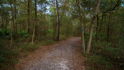 Ceder Point Preserve #1