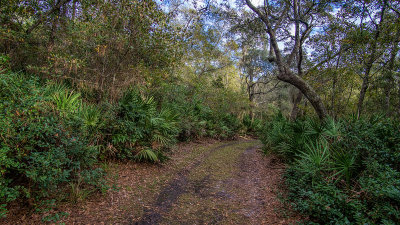 Ceder Point Preserve #2