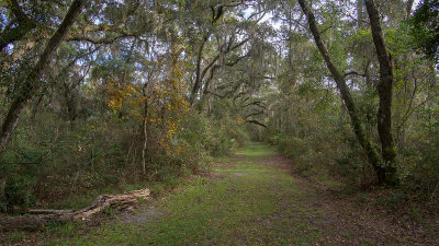 Ceder Point Preserve #5