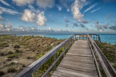 Boardwalk to the Beach II