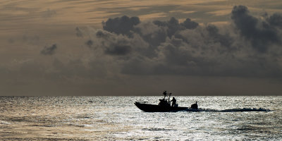 Coming In