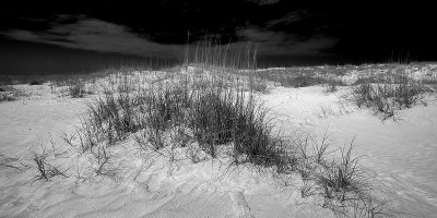 Anastasia State Park #7