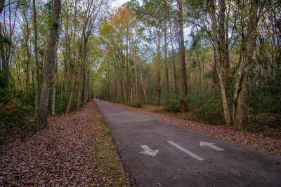 Baldwin Trail 2.jpg