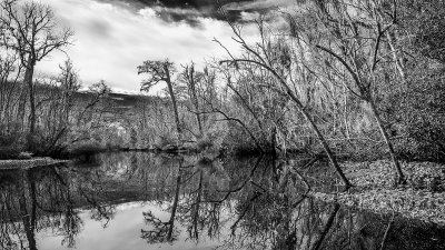 Thomas Creek in Winter #2