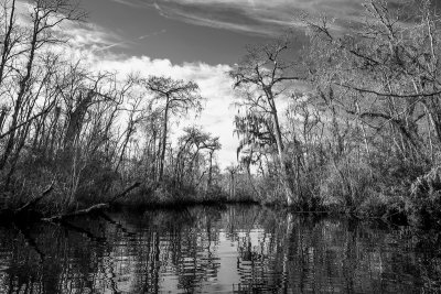 Thomas Creek in Winter #1