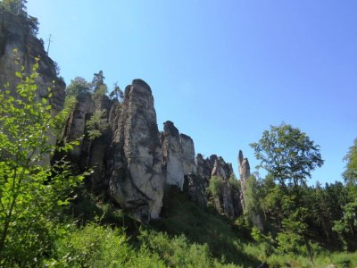 g9/05/336505/3/151820555.mVQZuV1K.jpg
