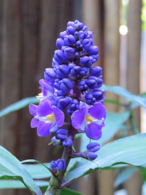 IMG_5672 (Custom).JPG