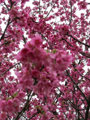 IMG_5777 (Custom).JPG
