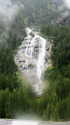 IMG_6239 (Large).JPG