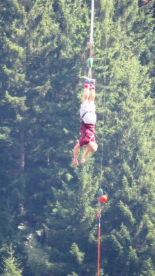 IMG_6247 (Large).JPG