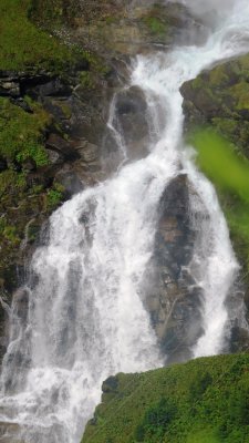IMG_6334 (Large).JPG