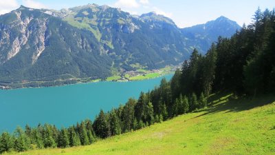 IMG_6372 (Large).JPG