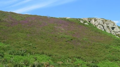 wicklow mntns tour
