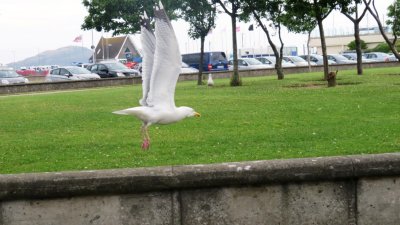 howth11.JPG