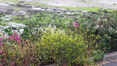 howth35.JPG