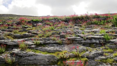 cliffs day09.JPG